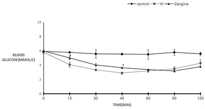 The Role of Insulin Glargine and Human Insulin in the Regulation of Thyroid Proliferation Through Mitogenic Signaling